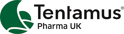 Client 11